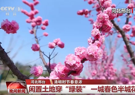 央視一套CCTV-1《晚間新聞》報(bào)道邢臺(tái)園博園
