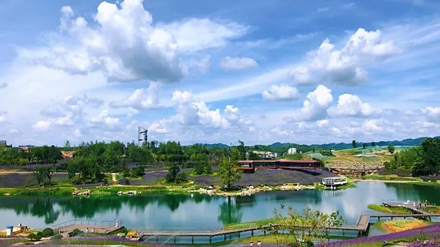 贊！助力綠色中國(guó)，東旭藍(lán)天喜獲“2018年度可持續(xù)發(fā)展貢獻(xiàn)獎(jiǎng)”