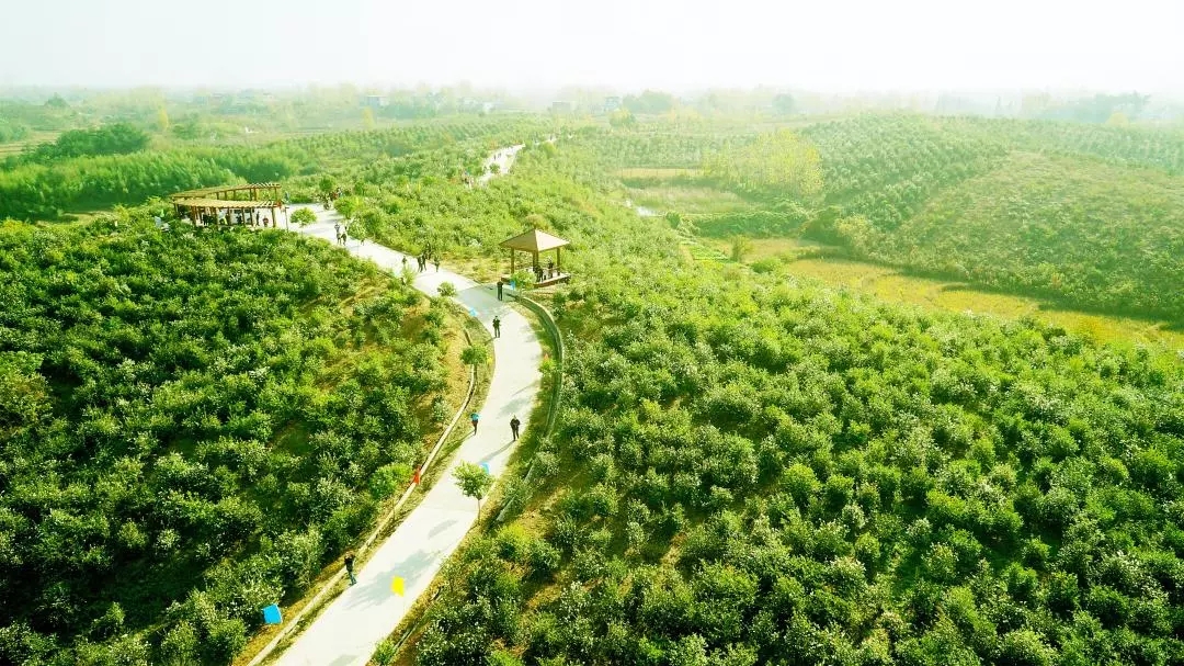  為“國油”產(chǎn)業(yè)化插上智能科技的翅膀〡東旭藍天積極探索兩化融合，油茶產(chǎn)業(yè)邁向工廠智能化