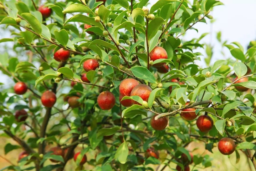 640.webp (1).jpg 640.webp (1).jpg