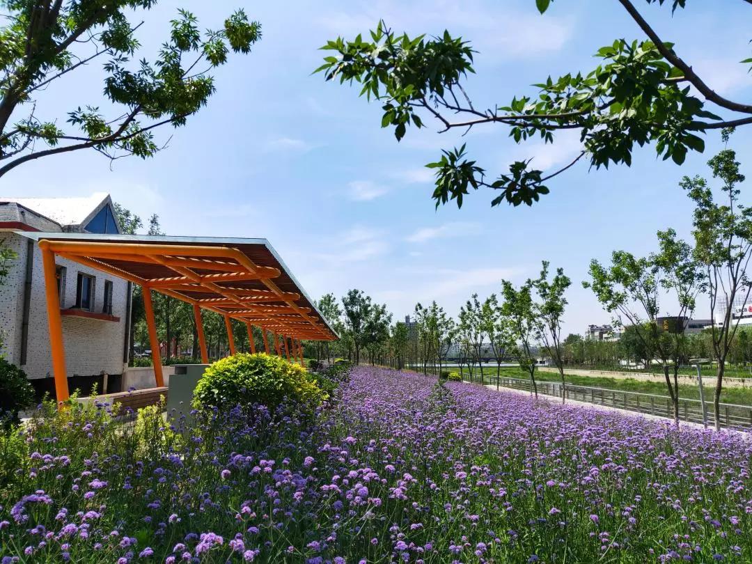 微信圖片_20200424154927.jpg 微信圖片_20200424154927.jpg