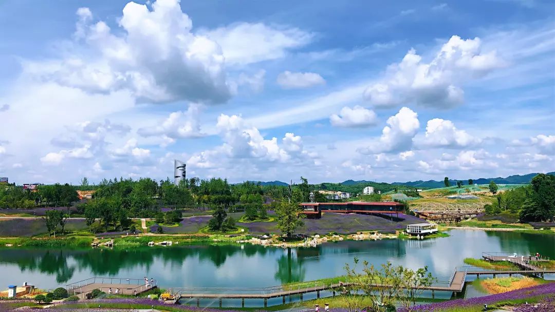 微信圖片_20200527101616.jpg 微信圖片_20200527101616.jpg