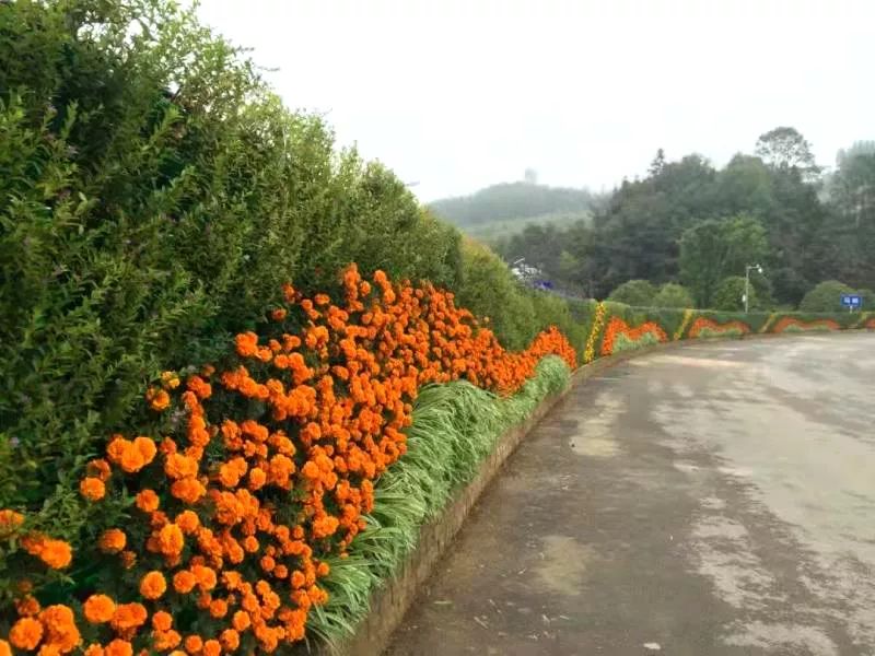 微信圖片_20200527101638.jpg 微信圖片_20200527101638.jpg