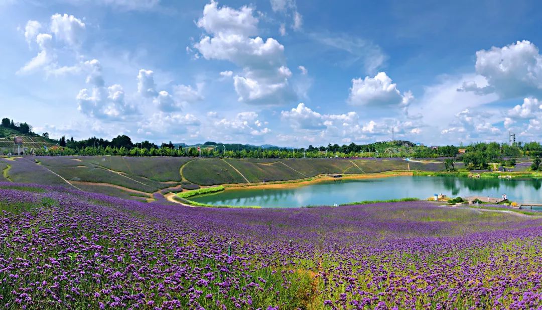 微信圖片_20200527101650.jpg 微信圖片_20200527101650.jpg