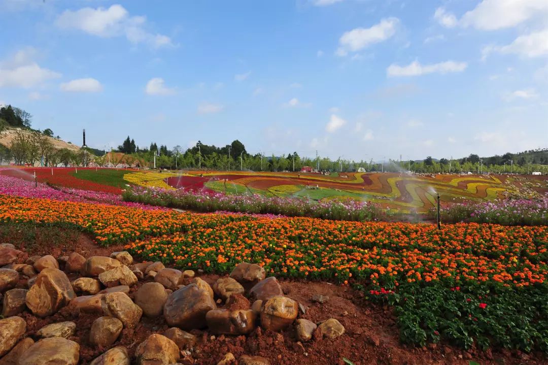 微信圖片_20200527101653.jpg 微信圖片_20200527101653.jpg