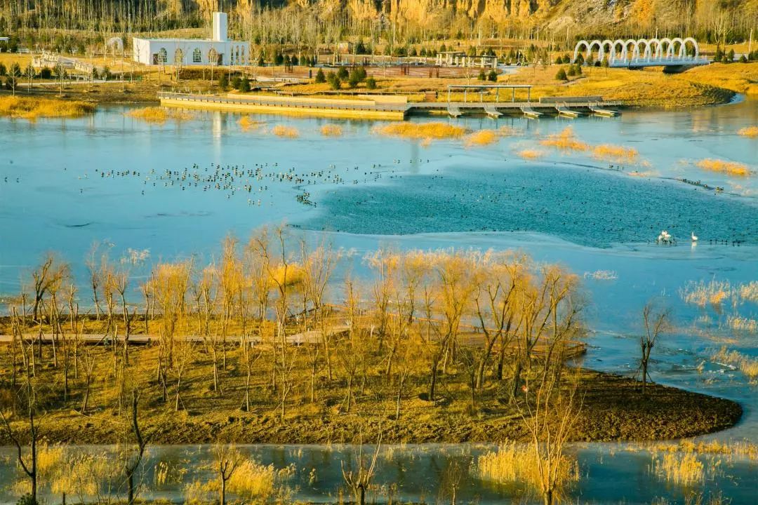 微信圖片_20200527102351.jpg 微信圖片_20200527102351.jpg