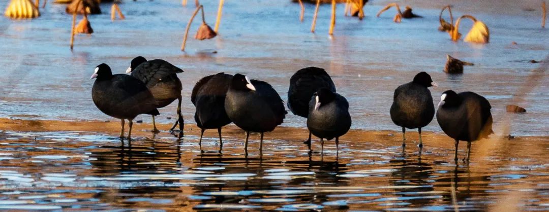 微信圖片_20200527102355.jpg 微信圖片_20200527102355.jpg