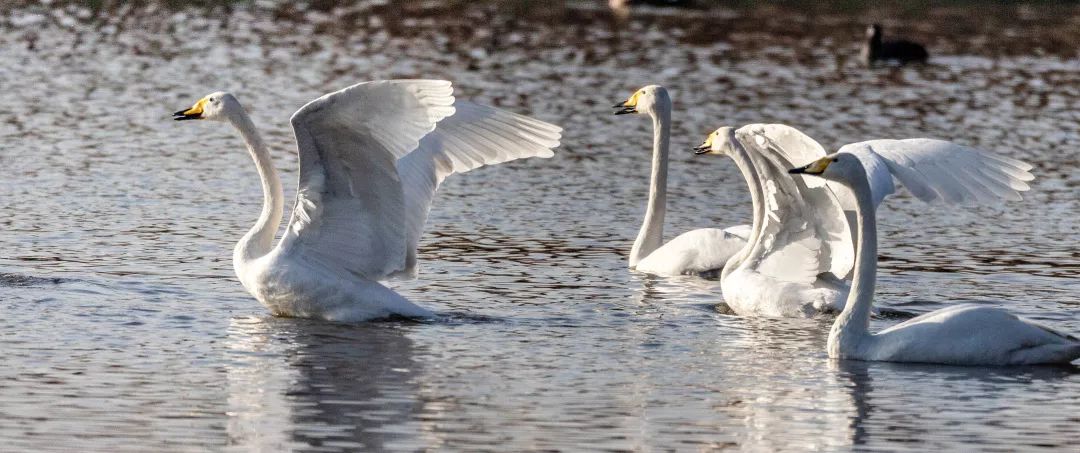 微信圖片_20200527102358.jpg 微信圖片_20200527102358.jpg