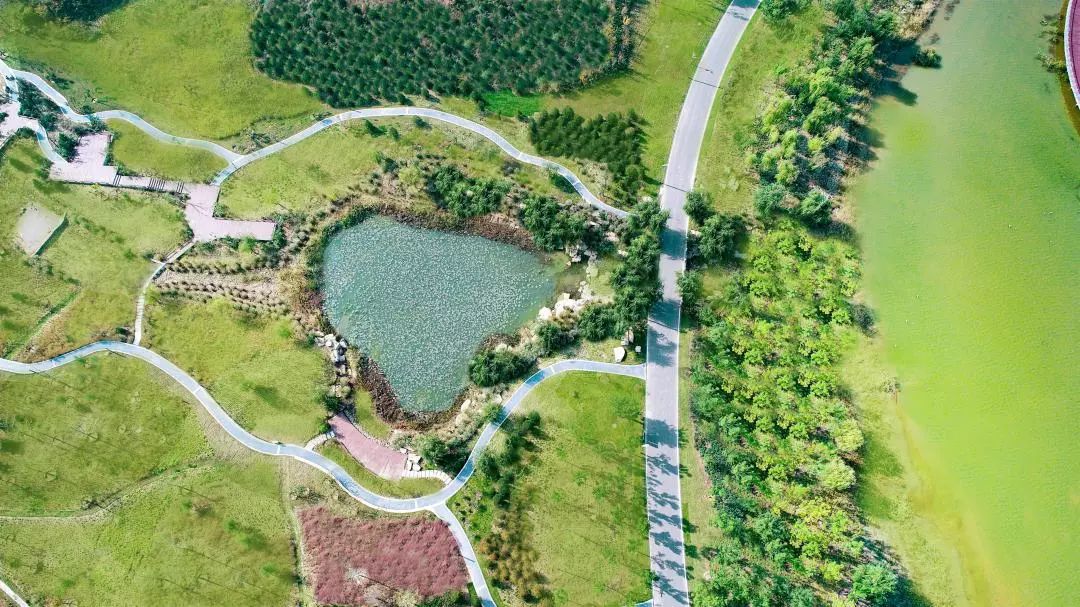 微信圖片_20200527102402.jpg 微信圖片_20200527102402.jpg