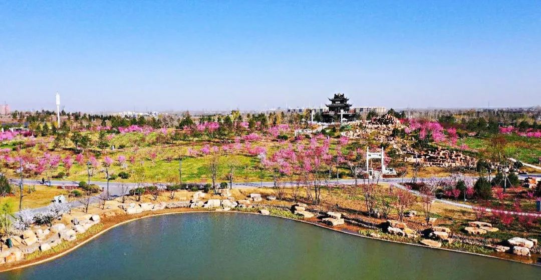 微信圖片_20200423145302.jpg 微信圖片_20200423145302.jpg