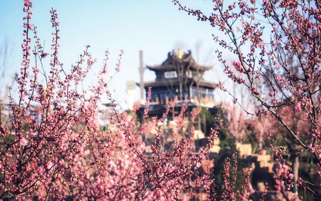 微信圖片_20200423145311.jpg 微信圖片_20200423145311.jpg