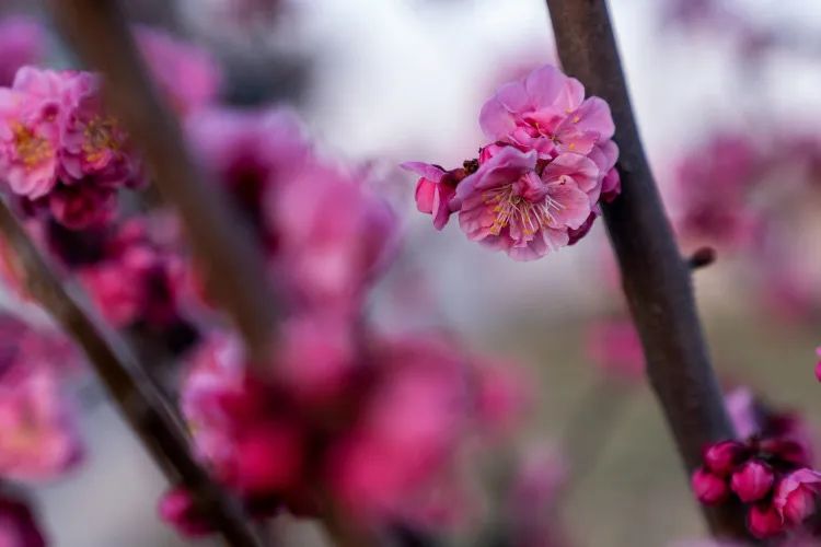 微信圖片_20200423145315.jpg 微信圖片_20200423145315.jpg