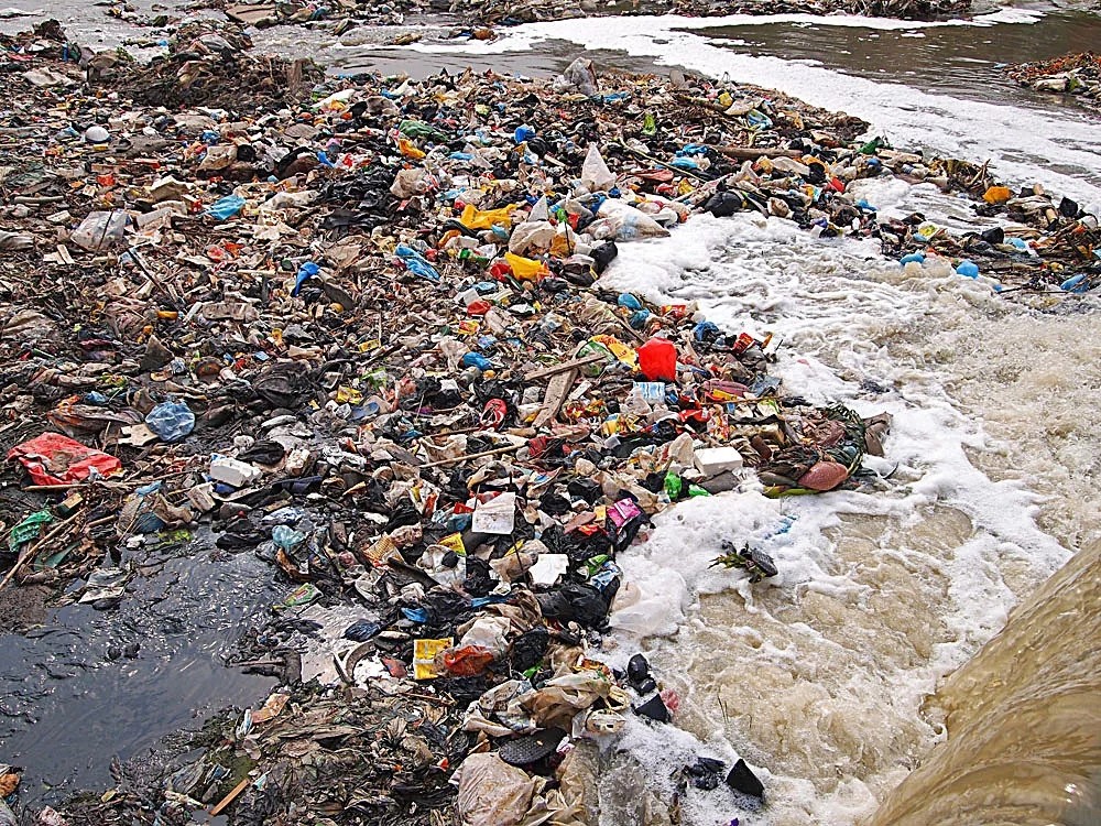 640.webp.jpg 640.webp.jpg