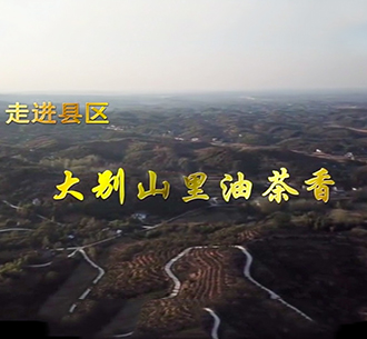   書寫脫貧故事  新華社點贊東旭藍天“油茶扶貧”新模式