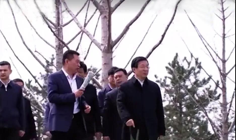 大放異彩 | 河北省省委書記、省人大常委會主任王東峰、副省長張古江調(diào)研邢臺園博園