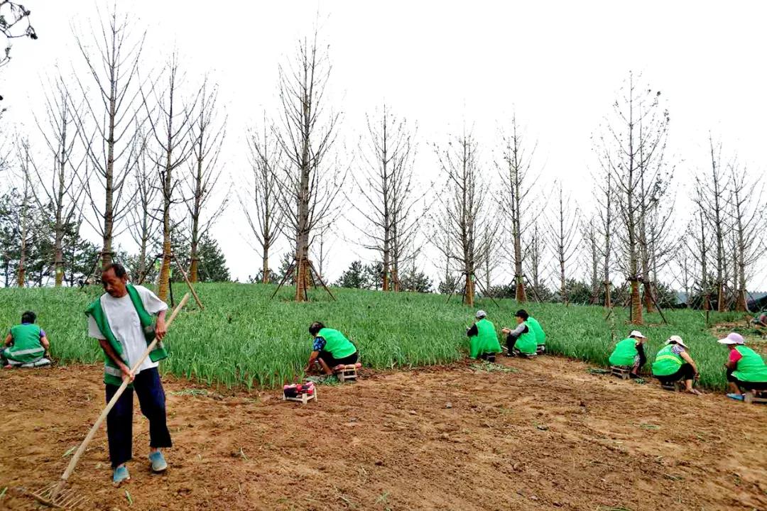 微信圖片_20200609104554.jpg 微信圖片_20200609104554.jpg