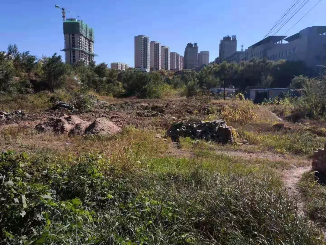   藍(lán)天觀察07  對(duì)標(biāo)經(jīng)典，東旭藍(lán)天生態(tài)環(huán)保在“美麗中國(guó)”建設(shè)中的“組合拳”（續(xù)三）