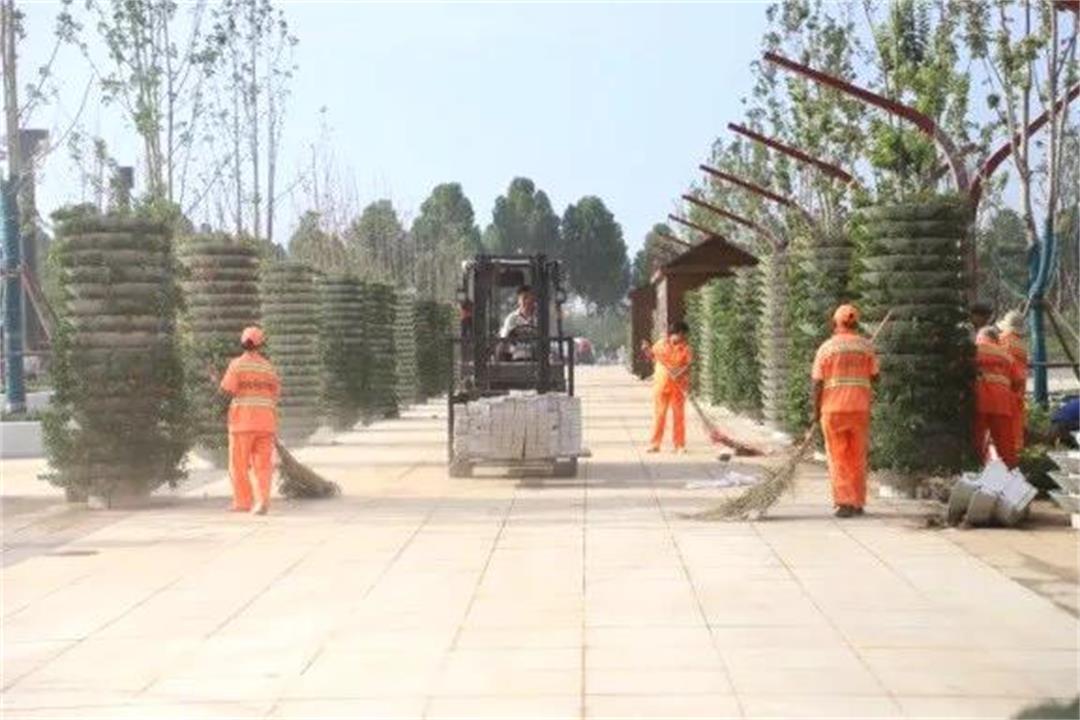 6372729473543616614385257.jpg 6372729473543616614385257.jpg