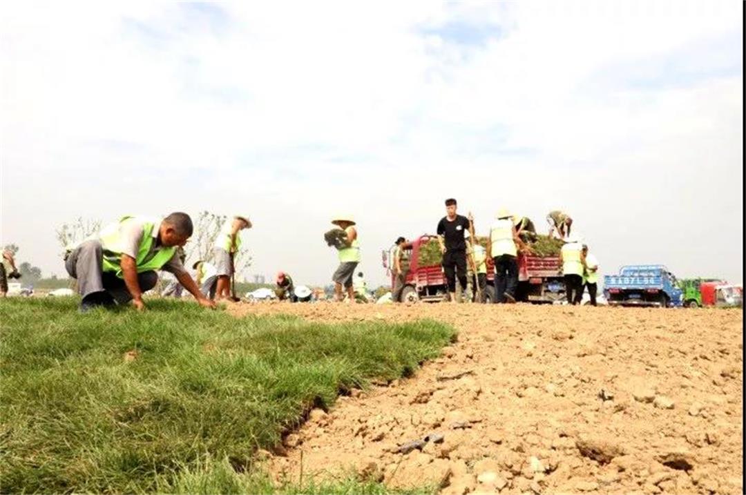 6372729573080293745259256.jpg 6372729573080293745259256.jpg