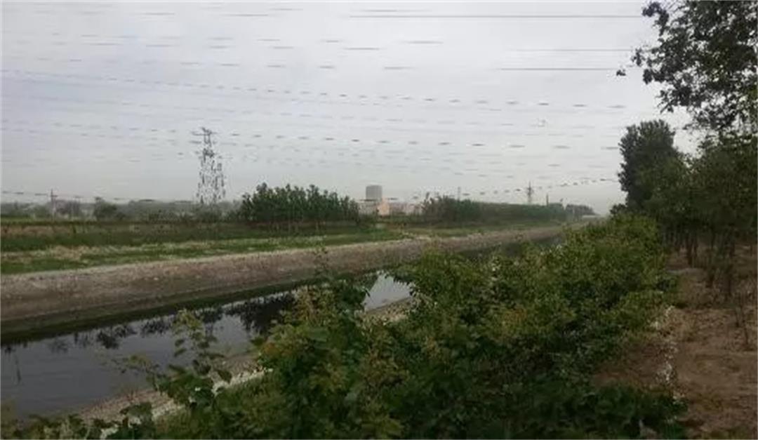 6372645065319181411564876.jpg 6372645065319181411564876.jpg