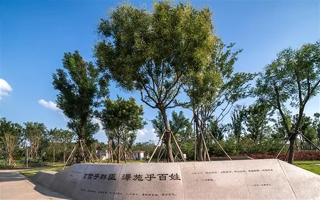 6372645067856574856446004.jpg 6372645067856574856446004.jpg