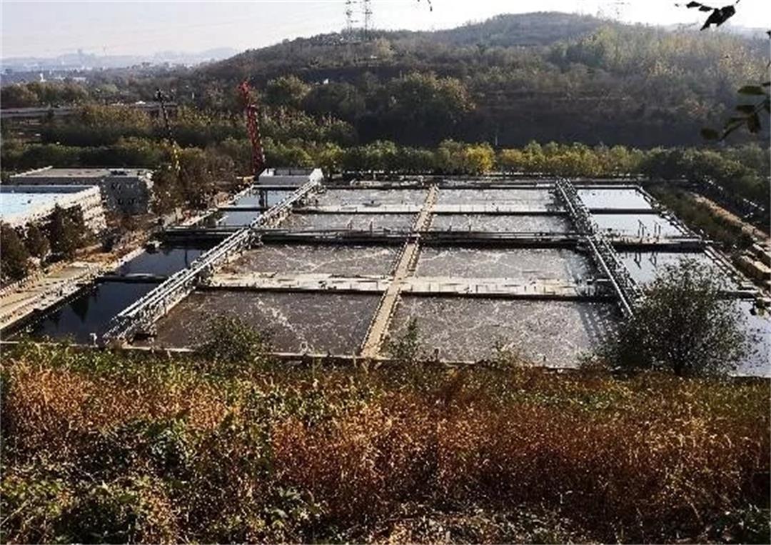 6372644939944950693925894.jpg 6372644939944950693925894.jpg