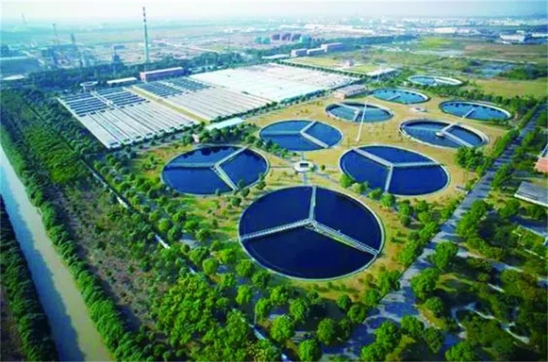 6372644856872817347214693.jpg 6372644856872817347214693.jpg