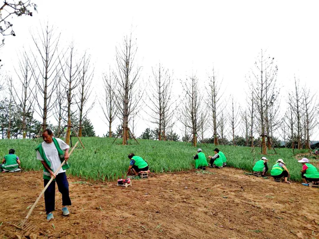 微信圖片_20200615164913.jpg 微信圖片_20200615164913.jpg