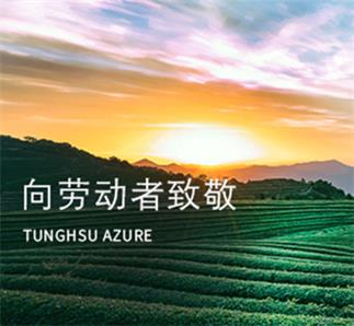 致敬勞動者：多彩雙手，大美藍天