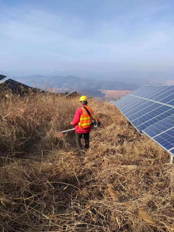 守護綠電 東旭藍天開展光伏電站春季除草行動