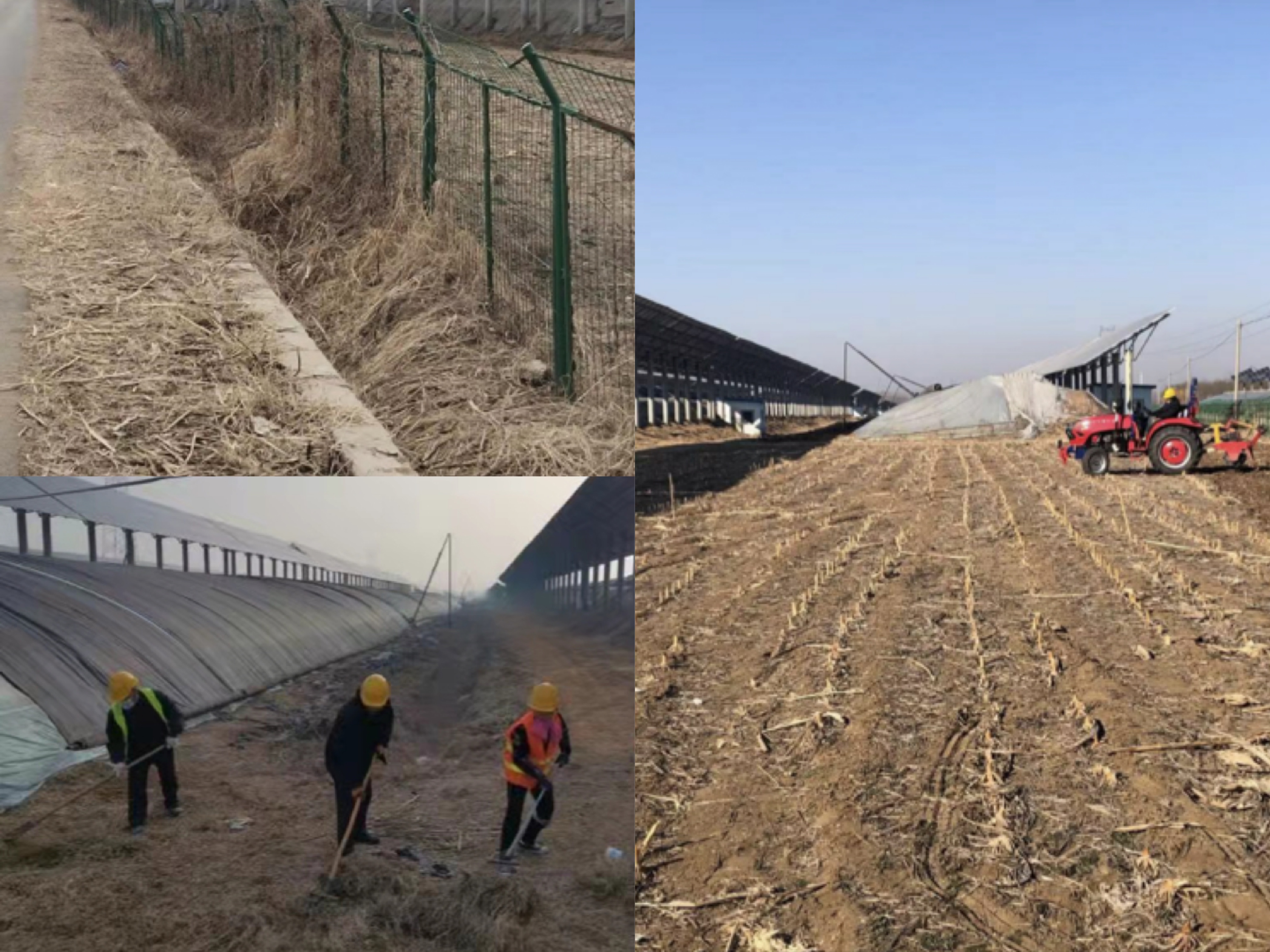 山東新泰.jpeg 山東新泰.jpeg