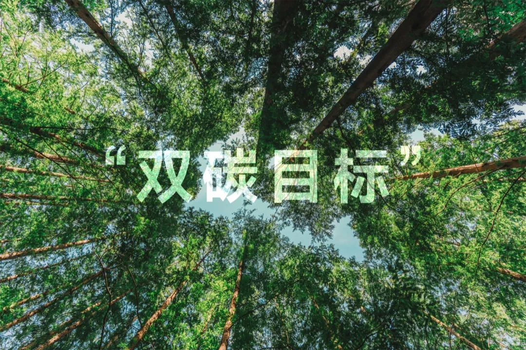 聚焦“雙碳”未來 東旭藍(lán)天深化光伏業(yè)務(wù)戰(zhàn)略布局